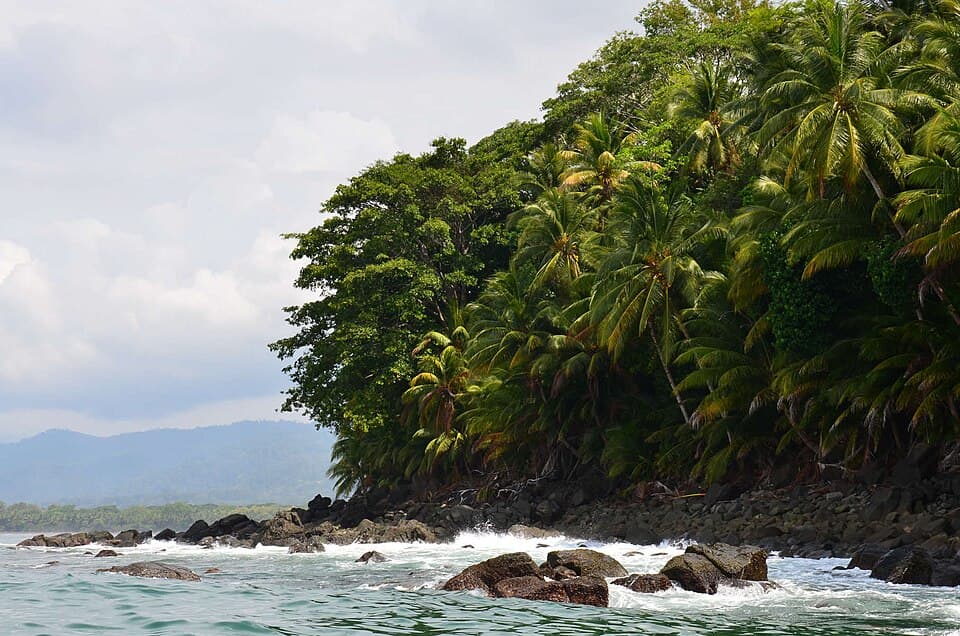 Jungle running down to the surf at Bahía Ballena, Uvita, Costa Rica